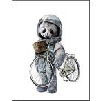 [ Panda космонавт * велосипед ] открытка 