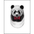 [ Panda * очки * бабочка галстук * карман ] открытка 