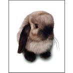  открытка ne The - Land dowa-f. младенец ...by Fox Republic