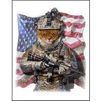 [... кошка ] открытка 