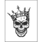 [....... Skull ] открытка 