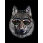 [ oo kami* солнцезащитные очки ] открытка 