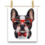 【かわいい フレンチブルドッグ ドッグ 犬 いぬ 蝶ネクタイ サングラス】ポスター　A1サイズ by Fox Republic