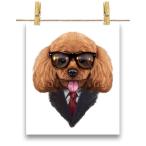 【遊ぶ プードル ドッグ 犬 いぬ スーツ】ポスター　A1サイズ by Fox Republic