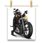 ポスター A2 ロットワイヤー 犬 いぬ バイク バイカー by Fox Republic