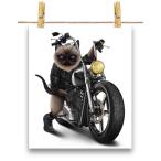 ポスター A3 シャムネコ 猫 ねこ バイク バイカー by Fox Republic