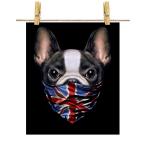 【かわいい フレンチブルドッグ ドッグ 犬 いぬ イギリス】ポスター　A3サイズ by Fox Republic
