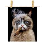ポスター A4 タバコ 猫 ネコ シャムネコ by Fox Republic