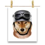 【柴犬 ドッグ 犬 いぬ ヘルメット】ポスター　A4サイズ by Fox Republic