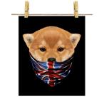 【仔犬の 柴犬 ドッグ 犬 いぬ イギリス】ポスター　A4サイズ by Fox Republic