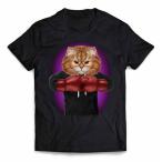 【三毛猫 オレンジ ね�