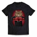 【ペルシャ猫 ねこ ボ�