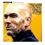 ポップアートパネル インテリア アート ポスター 絵 Z