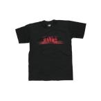 DEFTONES / TONAL TEEオフィシャル デッドストック【US オルタナティブ エクスペリメンタル へヴィロック メタル ハードコア BAND バンド】