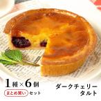【まとめ買い】ダークチェリータルト6個セット 13cm 4〜5号 / バレンタイン ホワイトデー 洋菓子 お取り寄せ スイーツ / 景品 イベント 業務用 ギフト【冷凍便】
