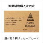 (観葉植物購入者様限定) メッセージカード / 立札