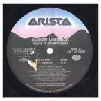 [ запись ]ALISON LIMERICK - MAKE IT ON MY OWN 12" US 1992 год Release 