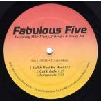 【レコード】FABULOUS FIVE - CALL IT WHAT YOU WANT 12" US 1999年リリース