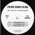 【レコード】55 feat Big Moe - I'm Not Going To Jail / Down South Fiesta 12" US 2002年リリース