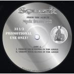 【レコード】SQUEEK - THROW YOUR HANDS IN THE AIRRR 12" US 1999年リリース