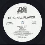 【レコード】ORIGINAL FLAVOR feat Jay-Z - CAN I GET OPEN (Promo) 12" US 1993年リリース