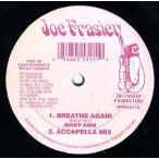 【レコード】MARY ANN / SKANKY DAN - BREATHE AGAIN / GET YU BODY 12" US 1995年リリース