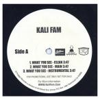 [ запись ]KALI FAM - WHAT YOU SEE / GOLDEN STATE 12" US 2004 год Release 