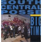 【レコード】SOUTH CENTRAL POSSE - THE BIG TIME S.C. 12" US 1989年リリース