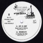 【レコード】SAT-R-DAY / ABSOLUTE - Down Low-Remix / Is It Really Like That (Musicland EP Vol.23) EP UK 2001年リリース