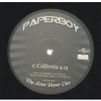 【レコード】PAPERBOY - California (Produced by BattleCat) / Got Doc 12" US 2004年リリース