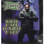 【レコード】XZIBIT - WHAT U SEE IS WHAT U GET / 3 Card Molly 12" US 1998年リリース
