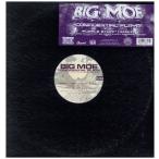 【レコード】BIG MOE feat Tyte Eyez, Ronnie Spencer &amp; Z-Ro - CONFIDENTIAL PLAYA / PUPLE STUFF (REMIX) 12" US 2002年リリース