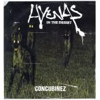 [ запись ]HYENAS IN THE DESERT - CONCUBINEZ 12" US 1996 год Release 