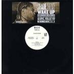 [ запись ]SHADE SHEIST ft Warren G &amp; Nate Dogg - WAKE UP 12" US 2002 год Release 