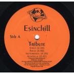 【レコード】ESINCHILL - TRIBUTE / MAYBE HER TOO 12" US 2002年リリース