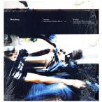 [ запись ]GREYBOY - HOLD IT DOWN 12" US 2002 год Release 