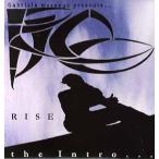 【レコード】RISE - EVOLUTION 12" US 2003年リリース