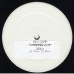 【レコード】BIG GIPP feat Sleepy Brown - STEPPIN OUT 12" US 2003年リリース