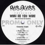 【レコード】RAS KASS Presents Scipio - WHAT DO YOU WANT 12" US 2003年リリース