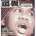 【レコード】KRS-ONE - CAN'T STOP WON'T STOP / WORLD PERFECT 12" US 1997年リリース