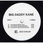 【レコード】BIG DADDY KANE - VERY SPECIAL / STOP SHAMMIN (WHITE) 12" US 2000年リリース