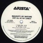 【レコード】NAUGHTY BY NATURE - DIRT ALL BY MY LONELY 12" US 1999年リリース