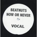 【レコード】THE BEATNUTS - NOW OR NEVER 12" US 1999年リリース