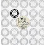 【レコード】PUFF DADDY feat Mista Chuck - P. E. 2000-ROCK REMIX 12" US 1999年リリース