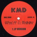 【レコード】DEL THE FUNKY HOMOSAPIEN / KMD - WRONG PLACE / WHAT A NIGGY 12" US 2000年リリース