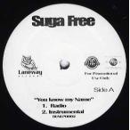【レコード】SUGA FREE - YOU KNOW MY NAME 12" US 2005年リリース