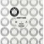 【レコード】DANITY KANE - One Shot / Press Pause / Back Up / Hold Me Down EP US 2007年リリース