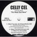 【レコード】CELLY CEL ft Art N Soul, Stress - I Want You / Whatugonedo? (Pro G-Man Stan) 12" US 2005年リリース