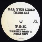 【レコード】T.O.K. feat Beenie Man, Nina Sky - GAL YOUR LEAD-REMIX 12" US 2004年リリース