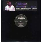 【レコード】Yung Berg ft K Young, Pleasure P, Twista, Casha, Maino &amp; Jim Jones - THE BUSINESS-REMIX / SEXY CAN I 12" US 2008年リリース
